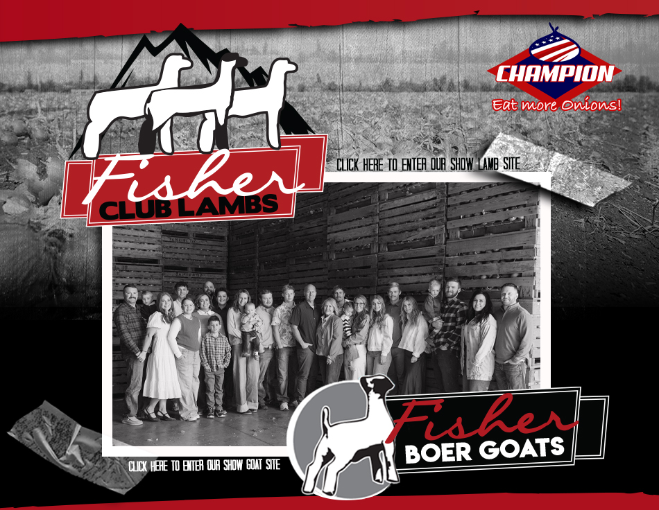 Fisher Club Lambs and Boer Goats